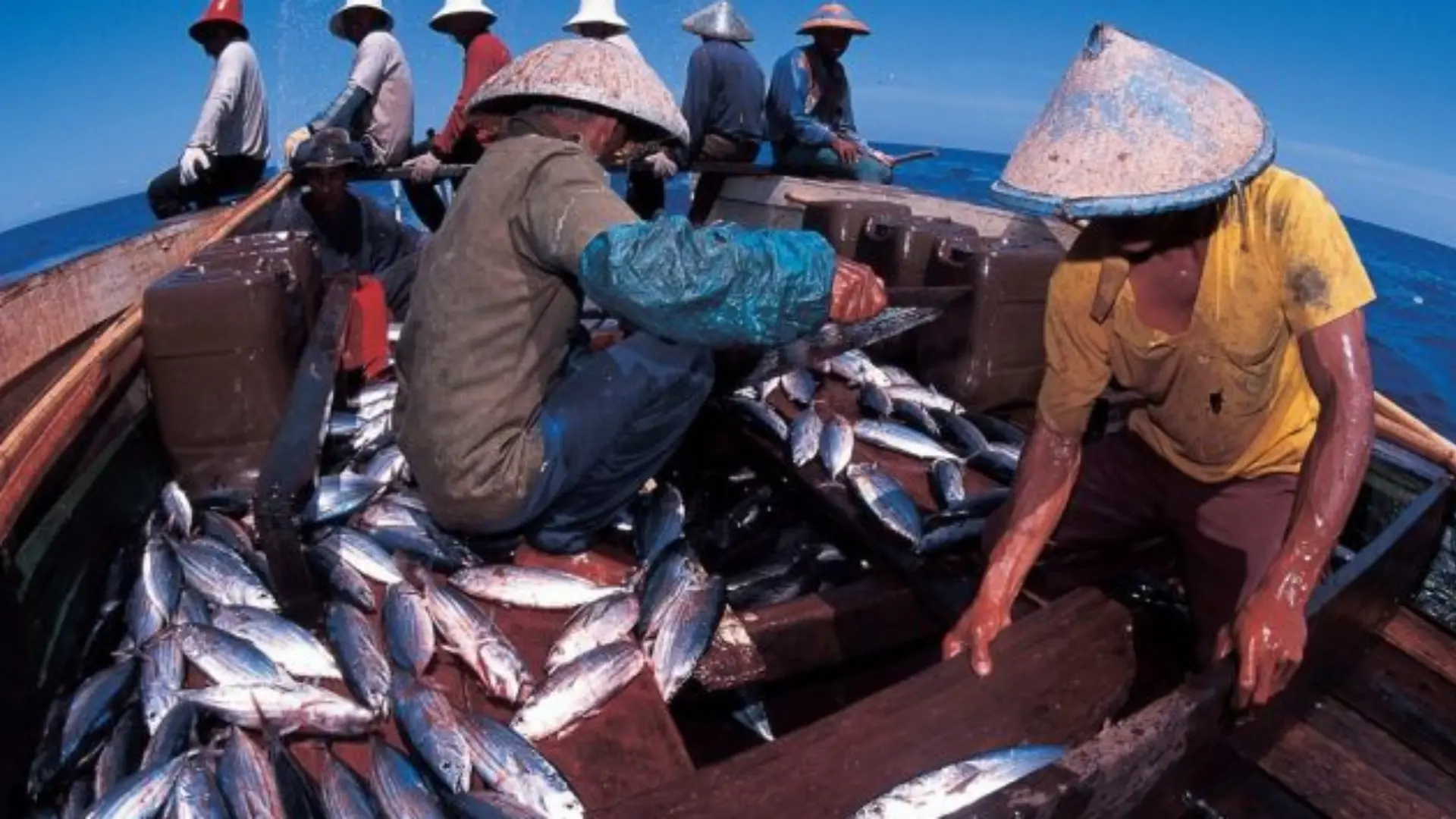 Mengapa Indonesia memiliki potensi perikanan yang bagus